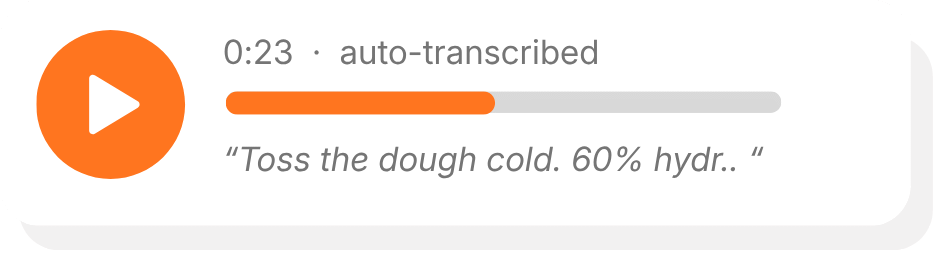 Audio Transcription